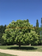 Glentham Grange Holiday Park Exclusively Adults