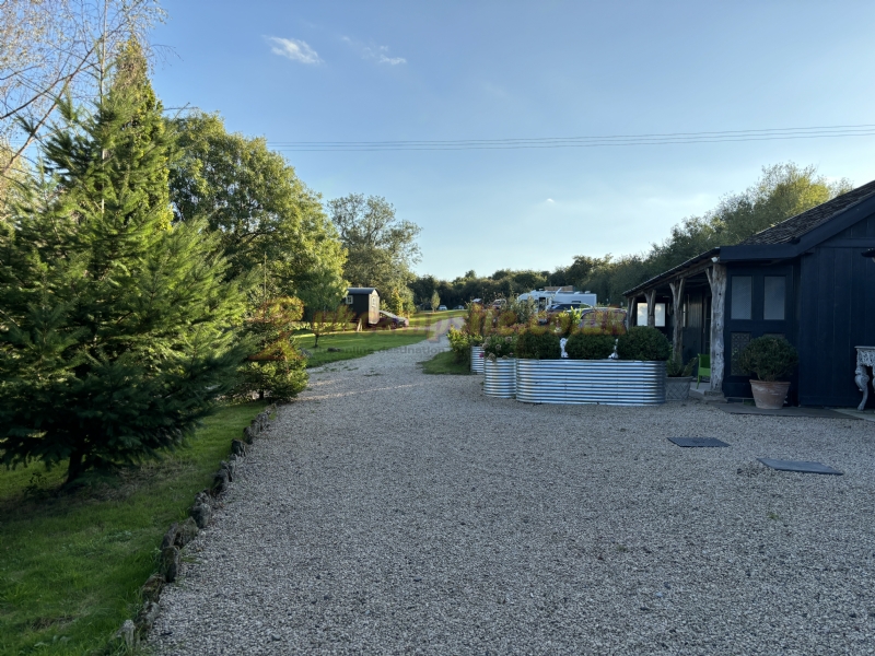 Daphnes Orchard