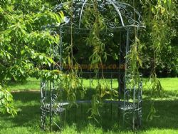 Daphnes Orchard