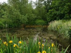 Daphnes Orchard
