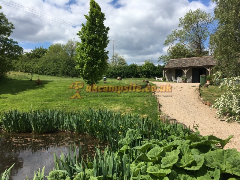 Daphnes Orchard