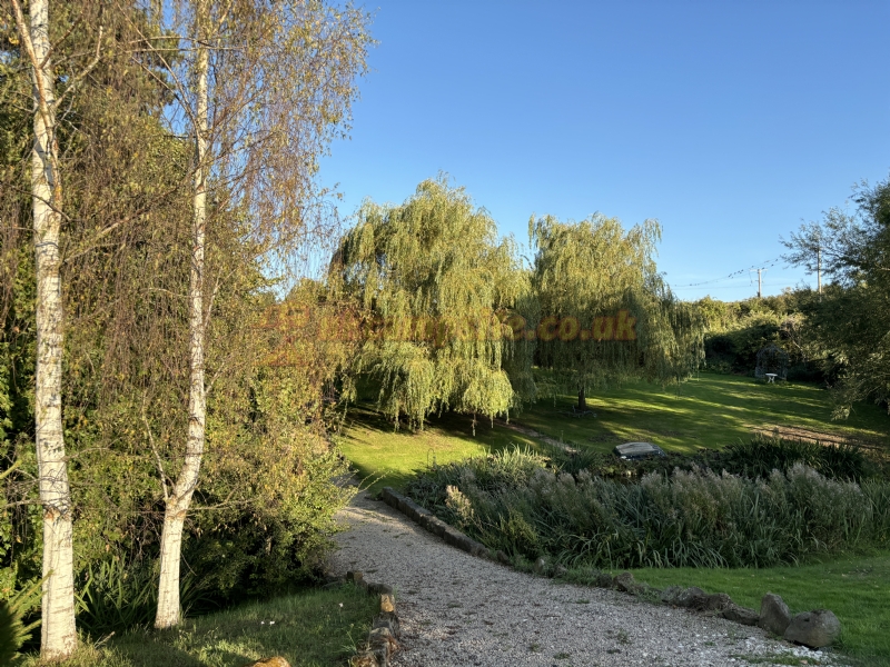 Daphnes Orchard