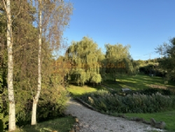 Daphnes Orchard