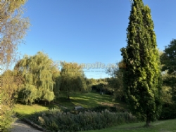 Daphnes Orchard
