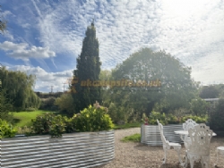 Daphnes Orchard
