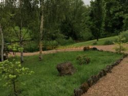 Daphnes Orchard