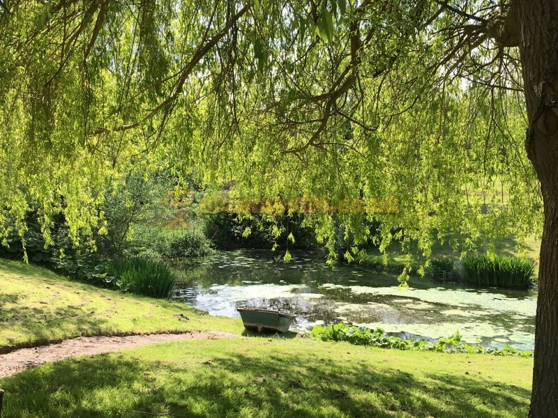 Daphnes Orchard