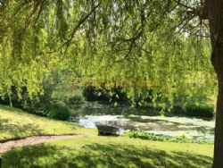 Daphnes Orchard