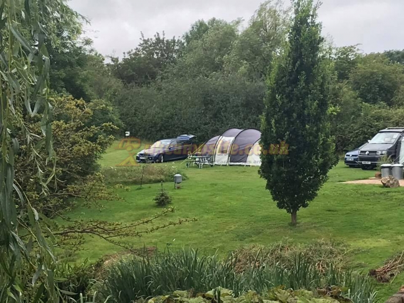 Daphnes Orchard