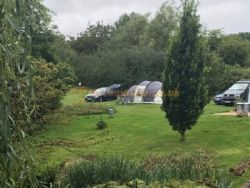 Daphnes Orchard