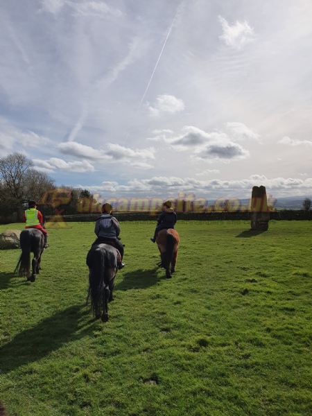 Bank House Farm Campsite