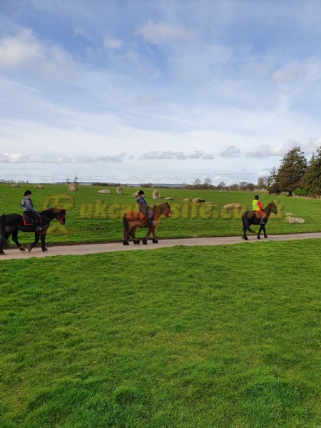 Bank House Farm Campsite