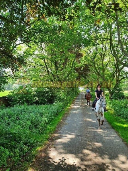 Bank House Farm Campsite