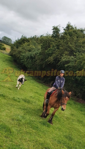 Bank House Farm Campsite