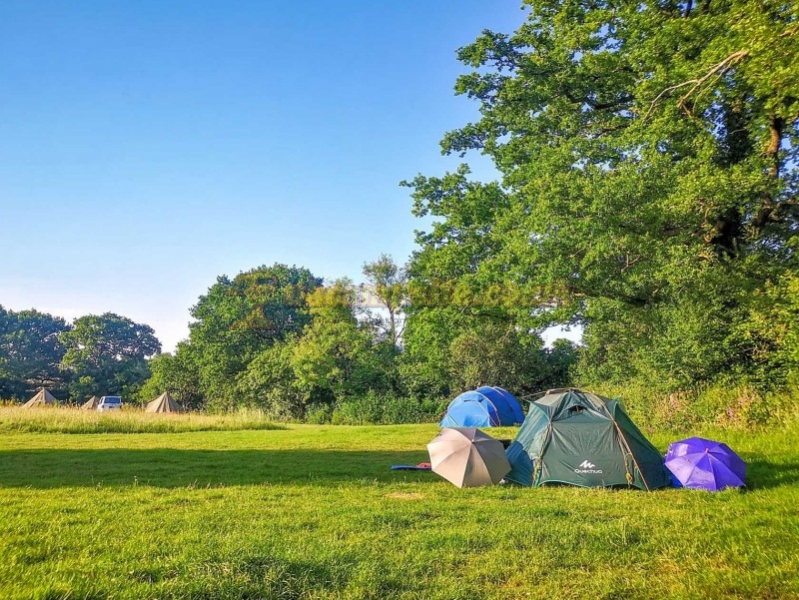 Gaggle Of Geese Pub And Campsite