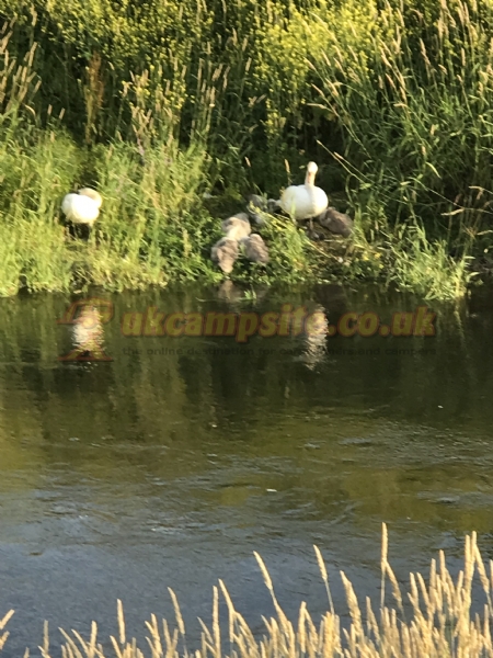 The Boat House Caravan And Campsite