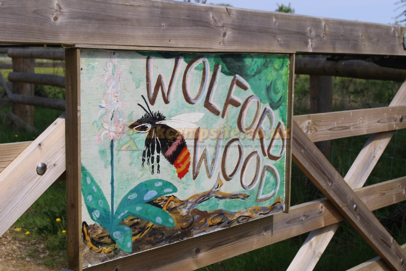 Wolford Wood Campsite And Glamping