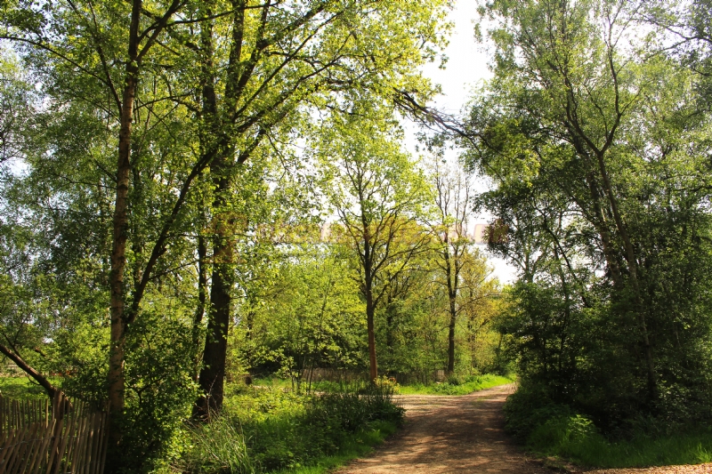 Wolford Wood Campsite And Glamping