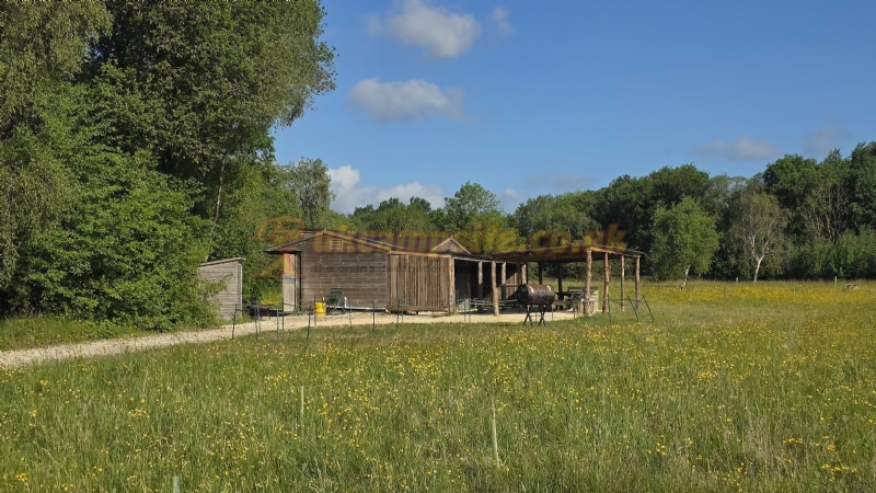Wolford Wood Campsite And Glamping