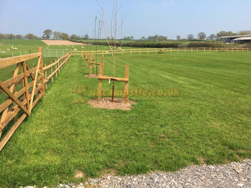 Marton House Campsite