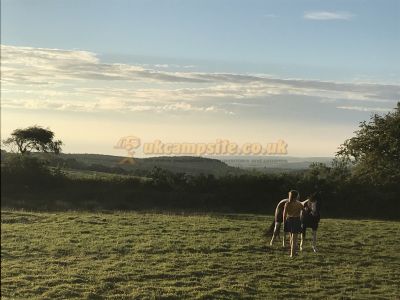 Forged Earth Craft Retreat And Camping