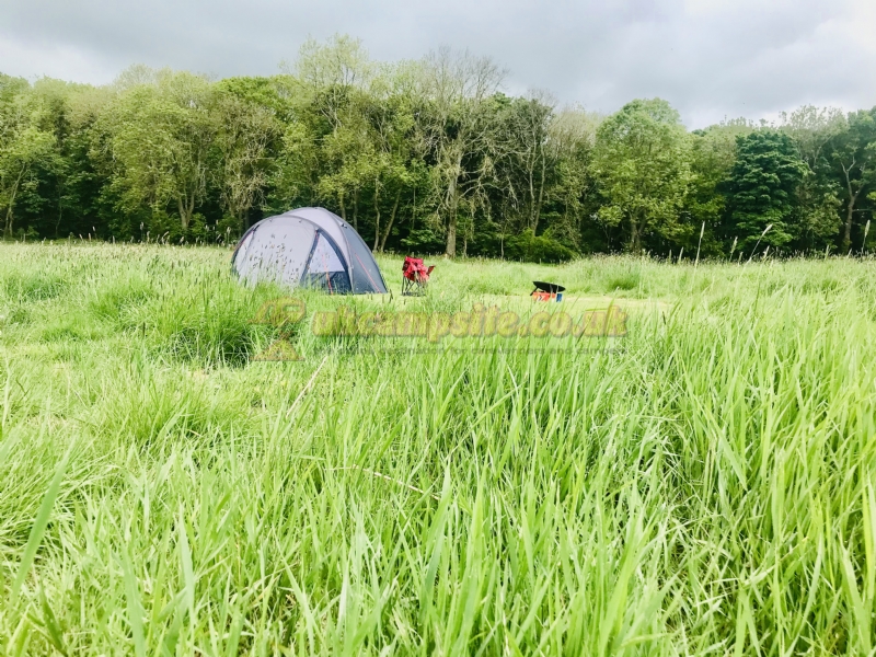 Tranwell Farm Campsite