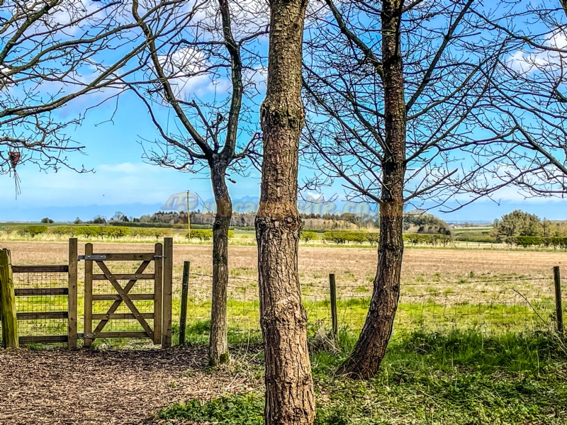 Tranwell Farm Campsite