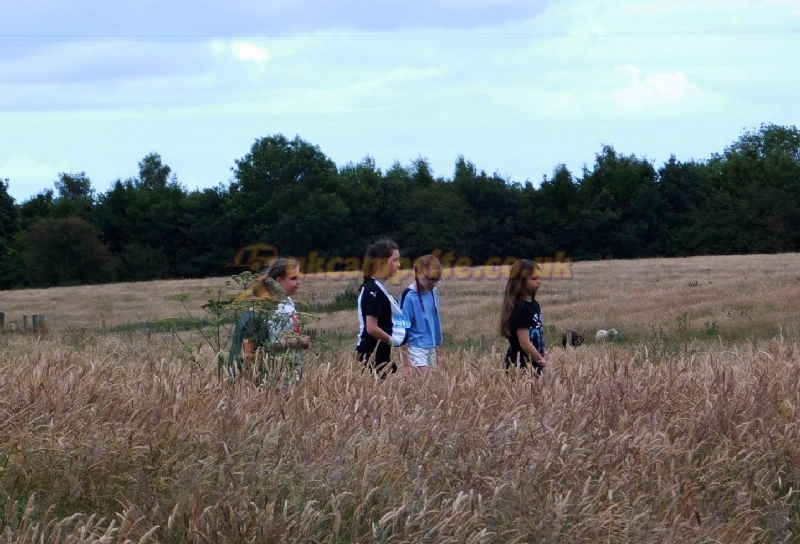 Tranwell Farm Campsite