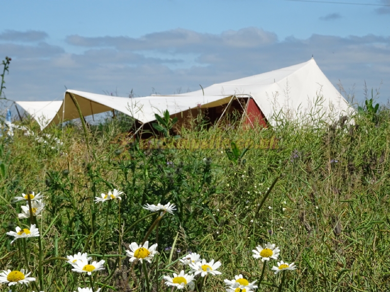 Hatters Meadows Campsite