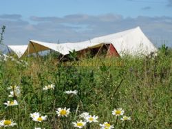 Hatters Meadows Campsite