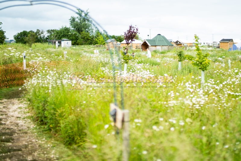 Hatters Meadows Campsite
