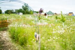 Hatters Meadows Campsite