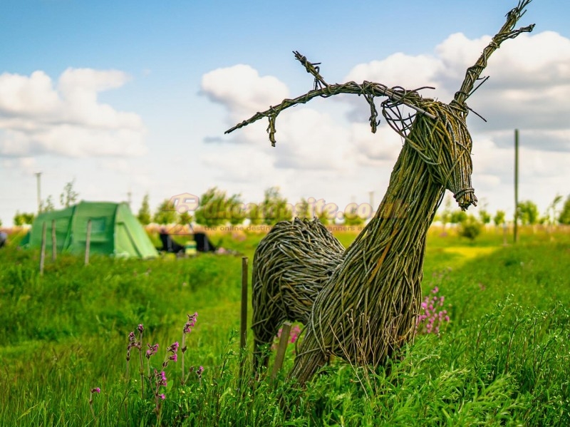 Hatters Meadows Campsite