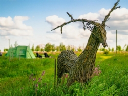 Hatters Meadows Campsite