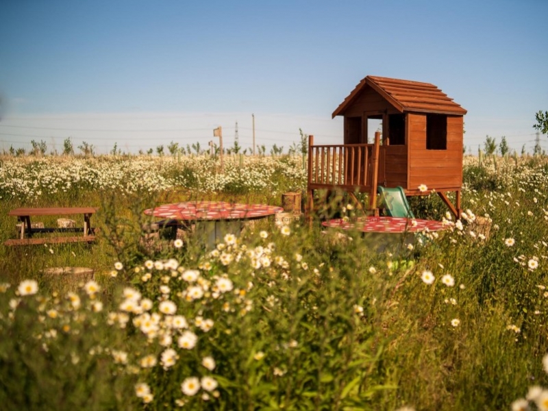 Hatters Meadows Campsite