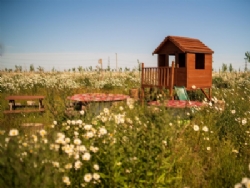 Hatters Meadows Campsite