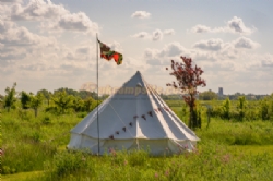 Hatters Meadows Campsite