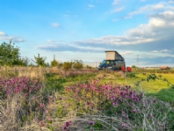 Hatters Meadows Campsite