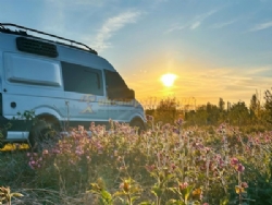 Hatters Meadows Campsite