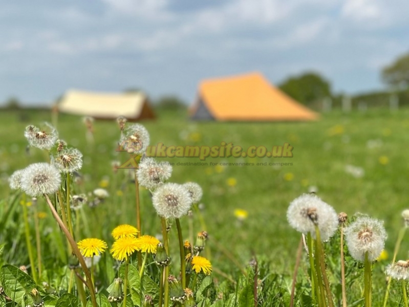 Rowbury Farm Camping