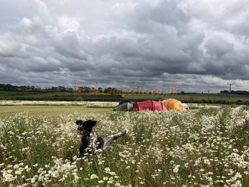 Rowbury Farm Camping