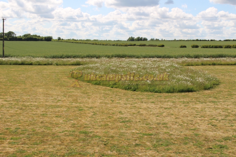 Rowbury Farm Camping