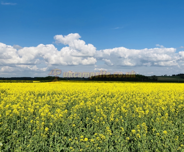 Rowbury Farm Camping