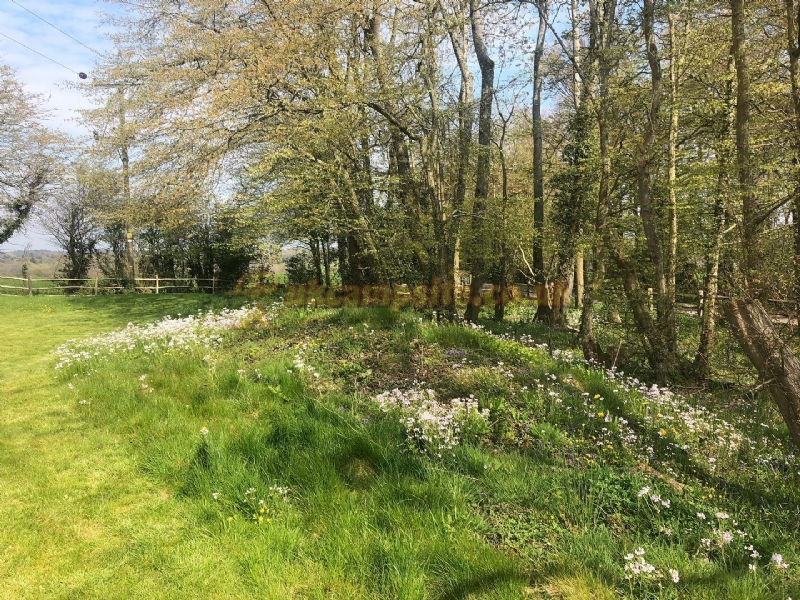 Scallow Campsite And Glamping Pods