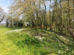 Scallow Campsite And Glamping Pods