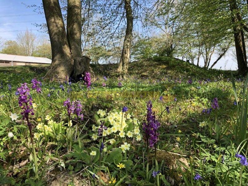 Scallow Campsite And Glamping Pods