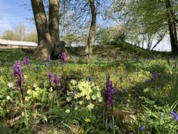 Scallow Campsite And Glamping Pods