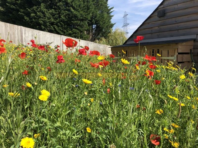Scallow Campsite And Glamping Pods