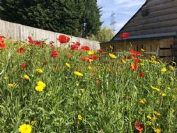 Scallow Campsite And Glamping Pods