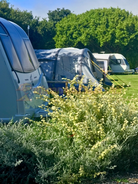 Tremarne Campsite